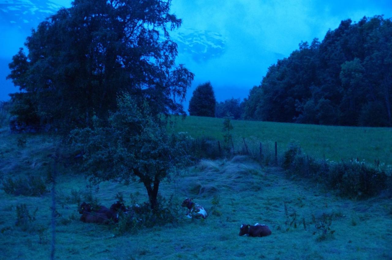 Orheimstunet - Gardsferie For Storfamilien Der Ogsa Hunden Er Velkommen Starheim Luaran gambar