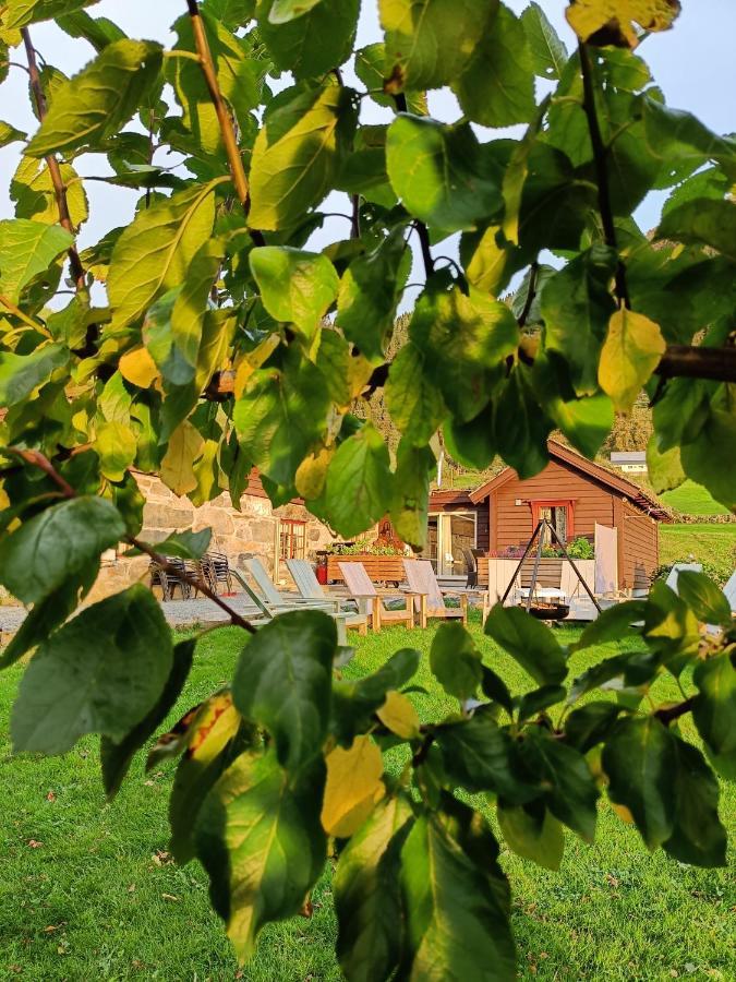 Orheimstunet - Gardsferie For Storfamilien Der Ogsa Hunden Er Velkommen Starheim Luaran gambar