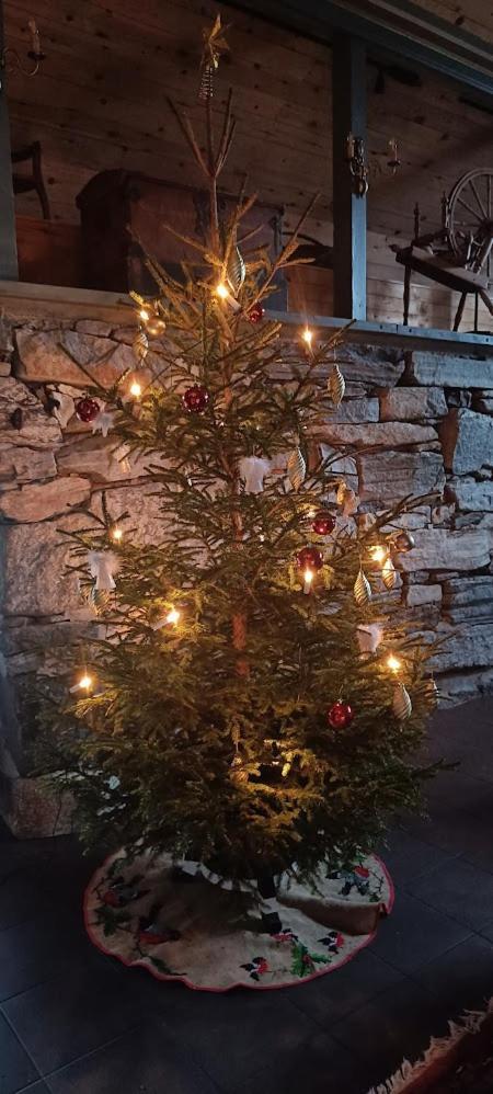 Orheimstunet - Gardsferie For Storfamilien Der Ogsa Hunden Er Velkommen Starheim Luaran gambar